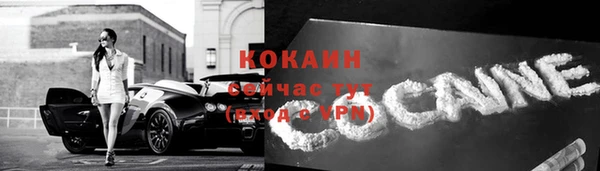 твердый Каменногорск