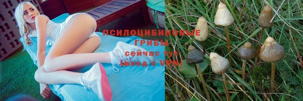 MDMA Каменка