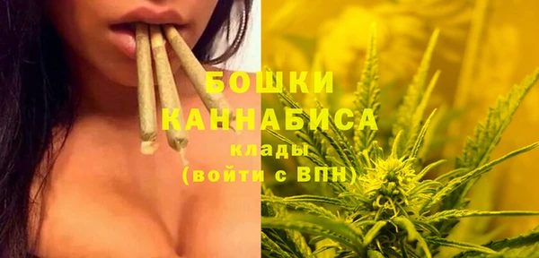 MDMA Каменка