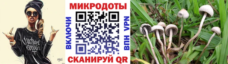 где найти   darknet формула  Галлюциногенные грибы GOLDEN TEACHER  Обнинск 